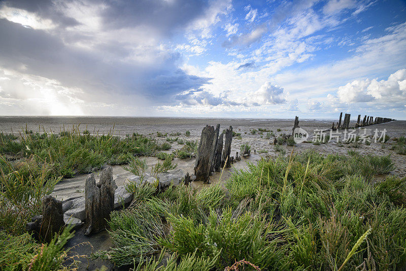 在荷兰北部的瓦登海自然保护区“de Wadden”，有潮汐沙滩的空旷景观